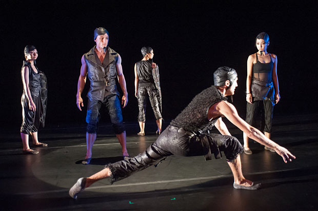 Korea National Contemporary Dance Company and Trey McIntyre Project in <I>The Unkindness of Ravens</I>.<br />© Stephanie Berger. (Click image for larger version)